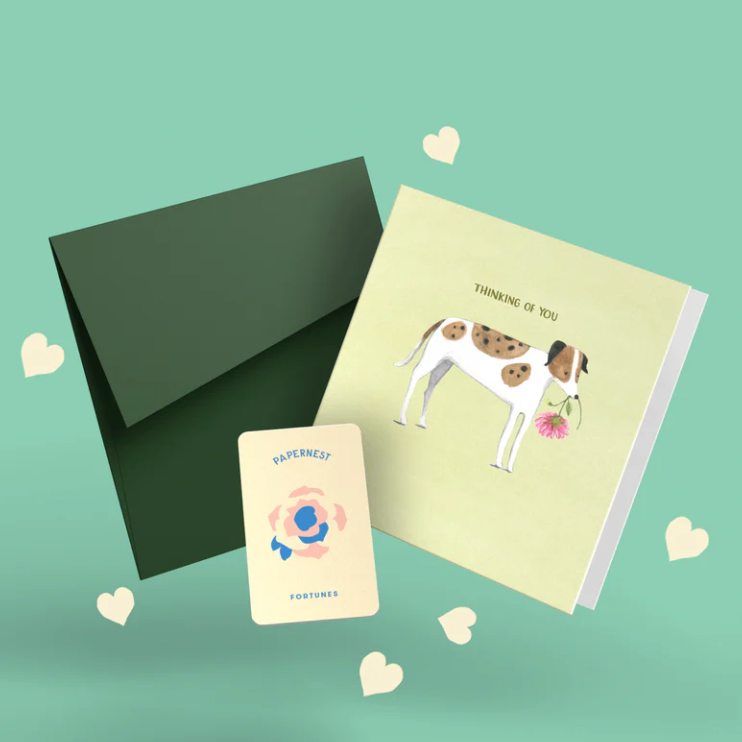 Sympathy & Thinking of You Cards