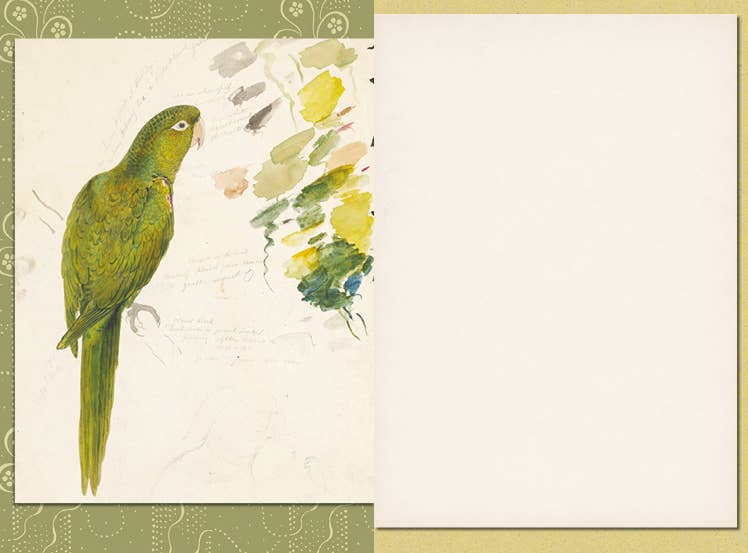 Couleurs Nature Illustrated Journal