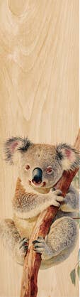 Koala Bookmark
