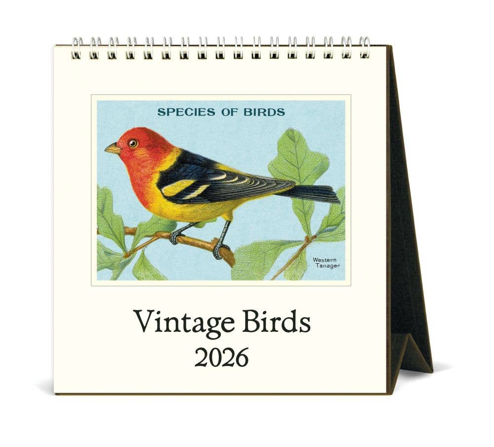 Cavallini 2026 Desk Calendar – Birds