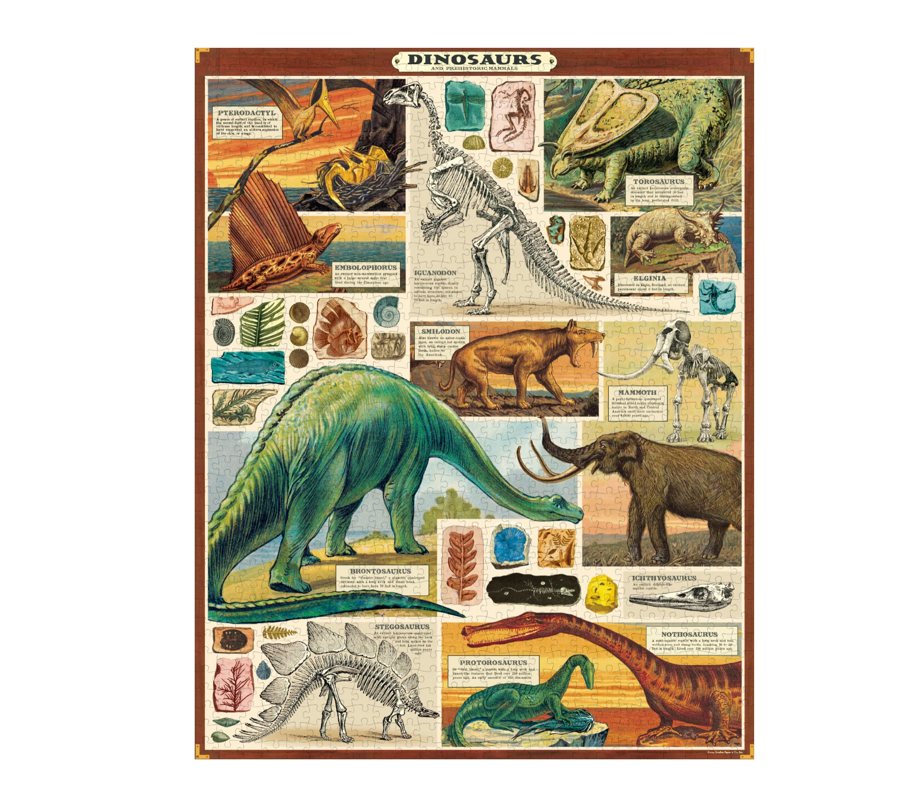 Educational poster about dinosaurs with various dinosaur illustrations and information.