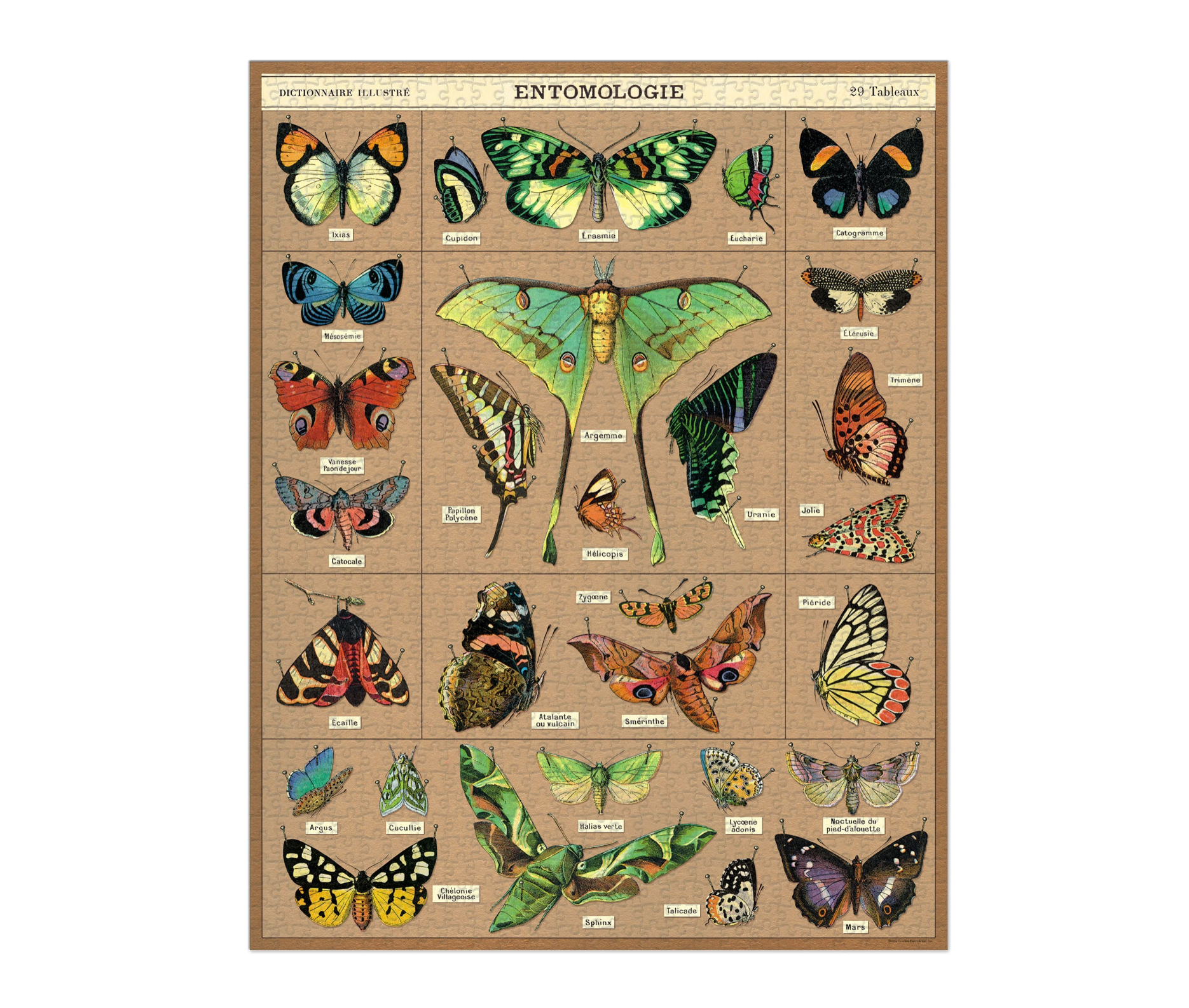 Illustration of various butterflies on a beige background with 'ENTOMOLOGIE' at the top.