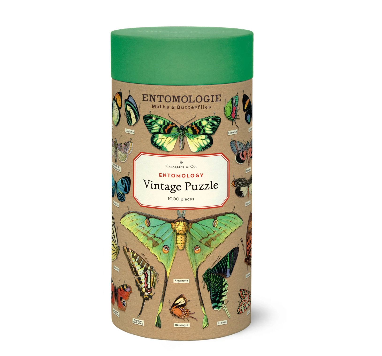 cylindrical puzzle box with butterfly illustrations and 'Entomologie' branding