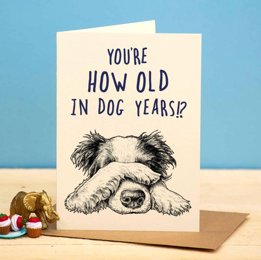 You're How Old in Dog Years Greeting Card