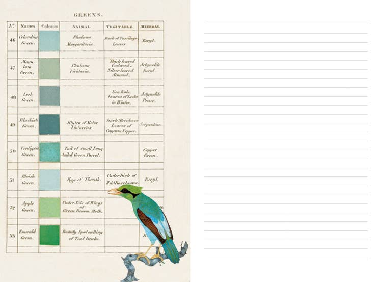 Couleurs Nature Illustrated Journal