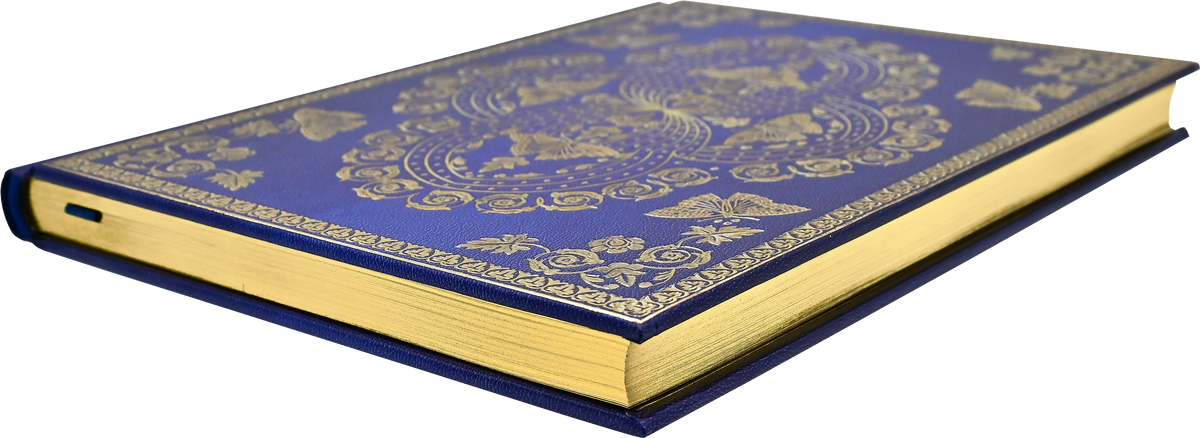 Gilded Butterflies journal by Peter Pauper Press, open to show lined pages