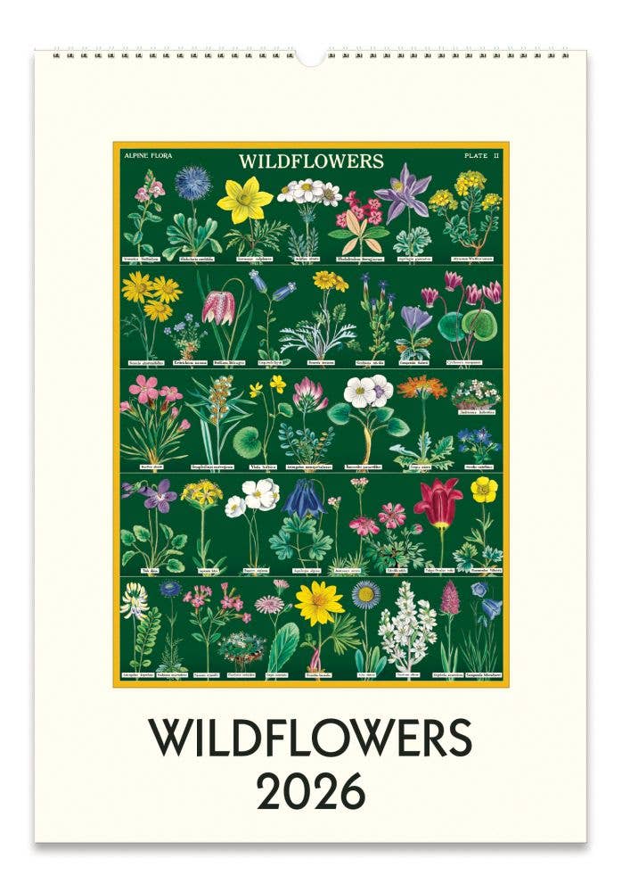 Cavallini 2026 Wall Calendar – Wildflowers