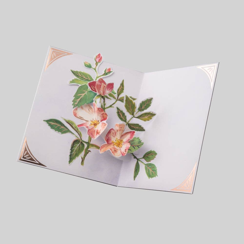 3D Pop-up Card-Seed Packet