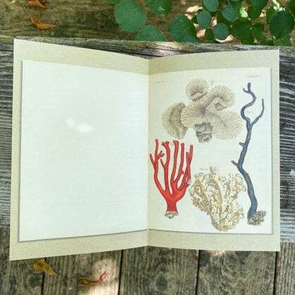 A la mer - At the Sea - Illustrated Journal