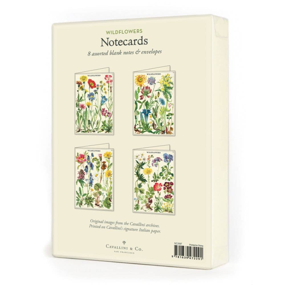 Cavallini Boxed Notecards Pack - 12 Assorted
