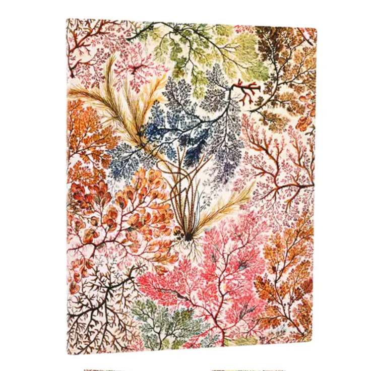 Anemone planner with leaves and branches on a white background