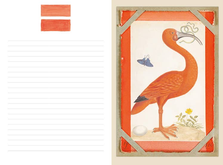 Couleurs Nature Illustrated Journal