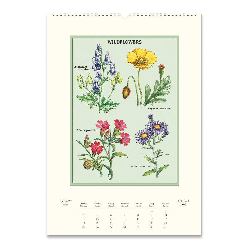 Cavallini 2026 Wall Calendar – Wildflowers