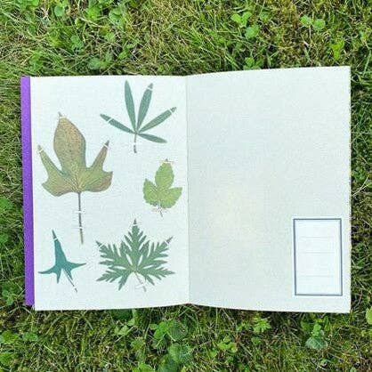 Au jardin - In the garden, Illustrated Journal