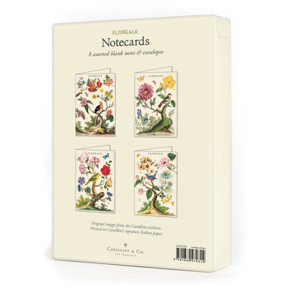 Cavallini Boxed Notecards Pack - 12 Assorted