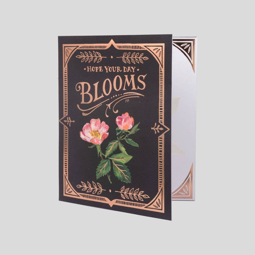 3D Pop-up Card-Seed Packet