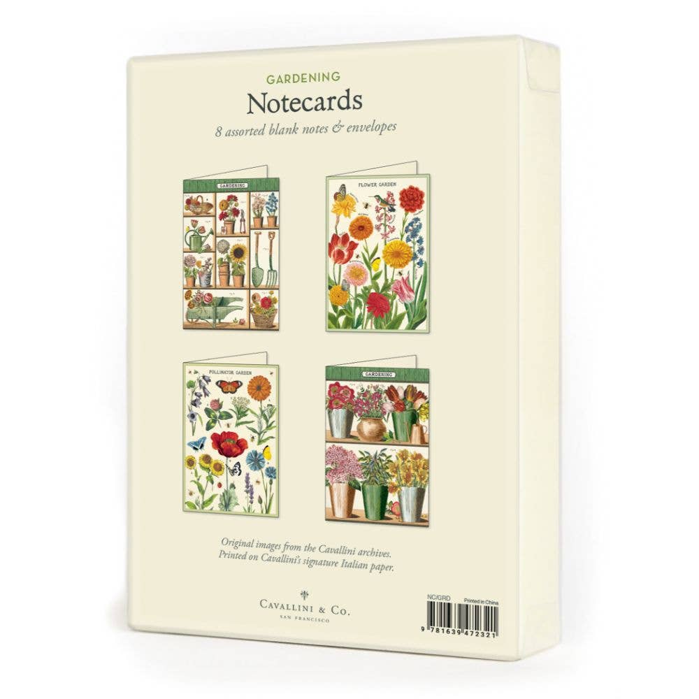 Cavallini Boxed Notecards Pack - 12 Assorted