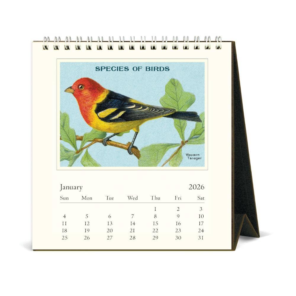 Cavallini 2026 Desk Calendar – Birds