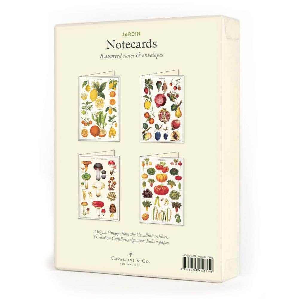 Cavallini Boxed Notecards Pack - 12 Assorted