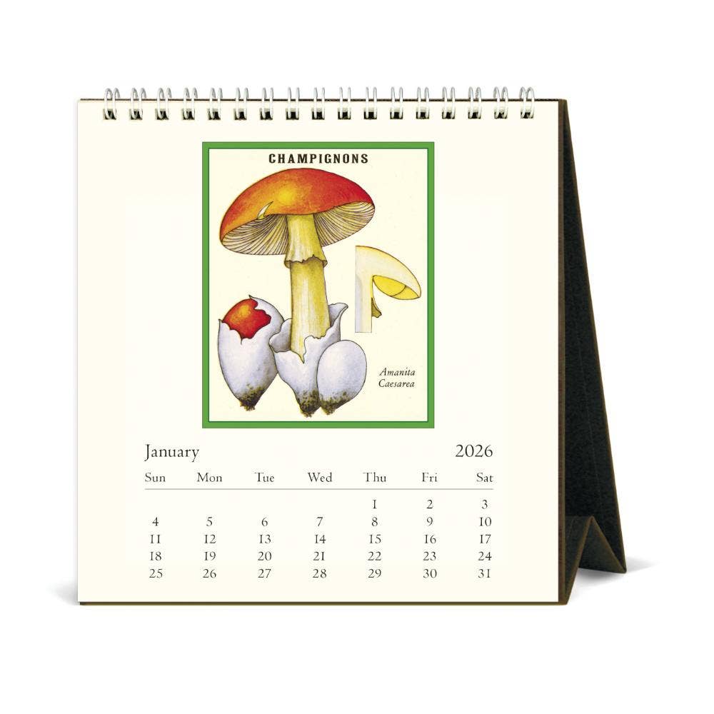 Cavallini 2026 Desk Calendar – Foraging