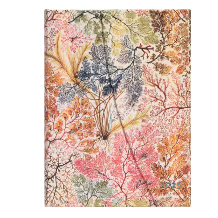 2026 12-month Planner - Anemone