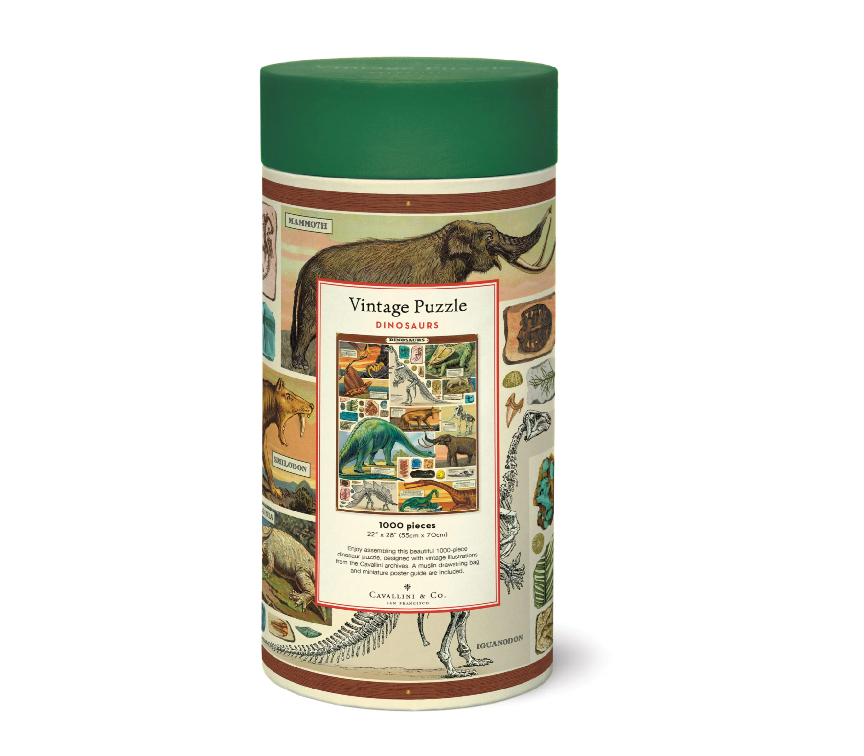 Jigsaw puzzle box with dinosaur illustrations on a white background