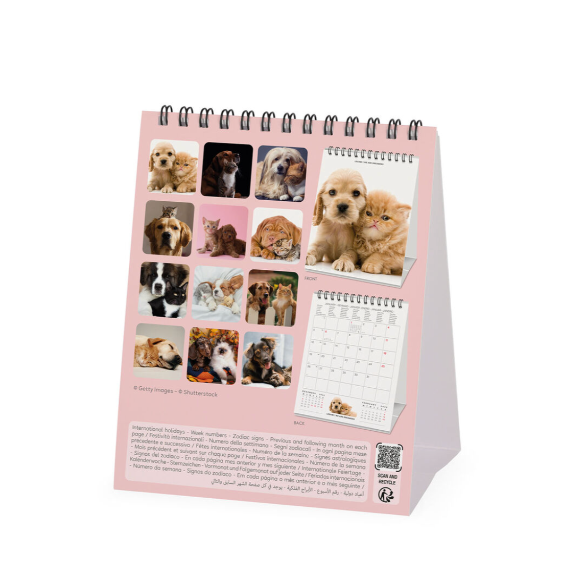 Desk calendar with images of puppies on a pink background