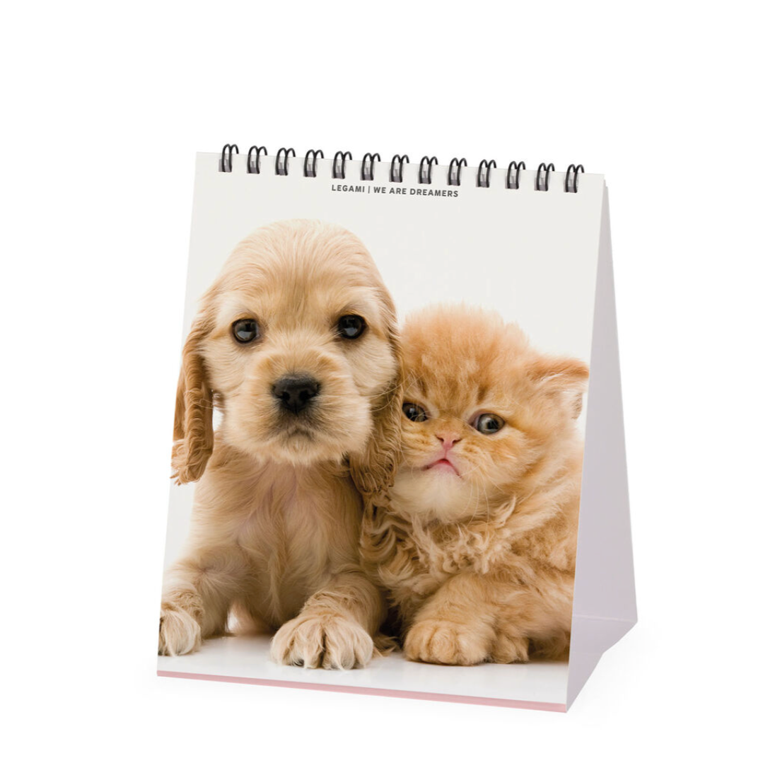 Calendar with a puppy and kitten on a white background