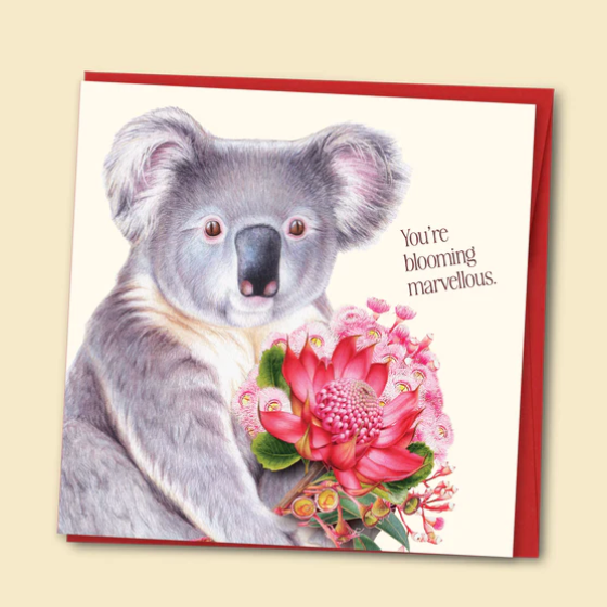 Greeting card with a koala and pink flower, featuring the text 'You're blooming marvellous.'