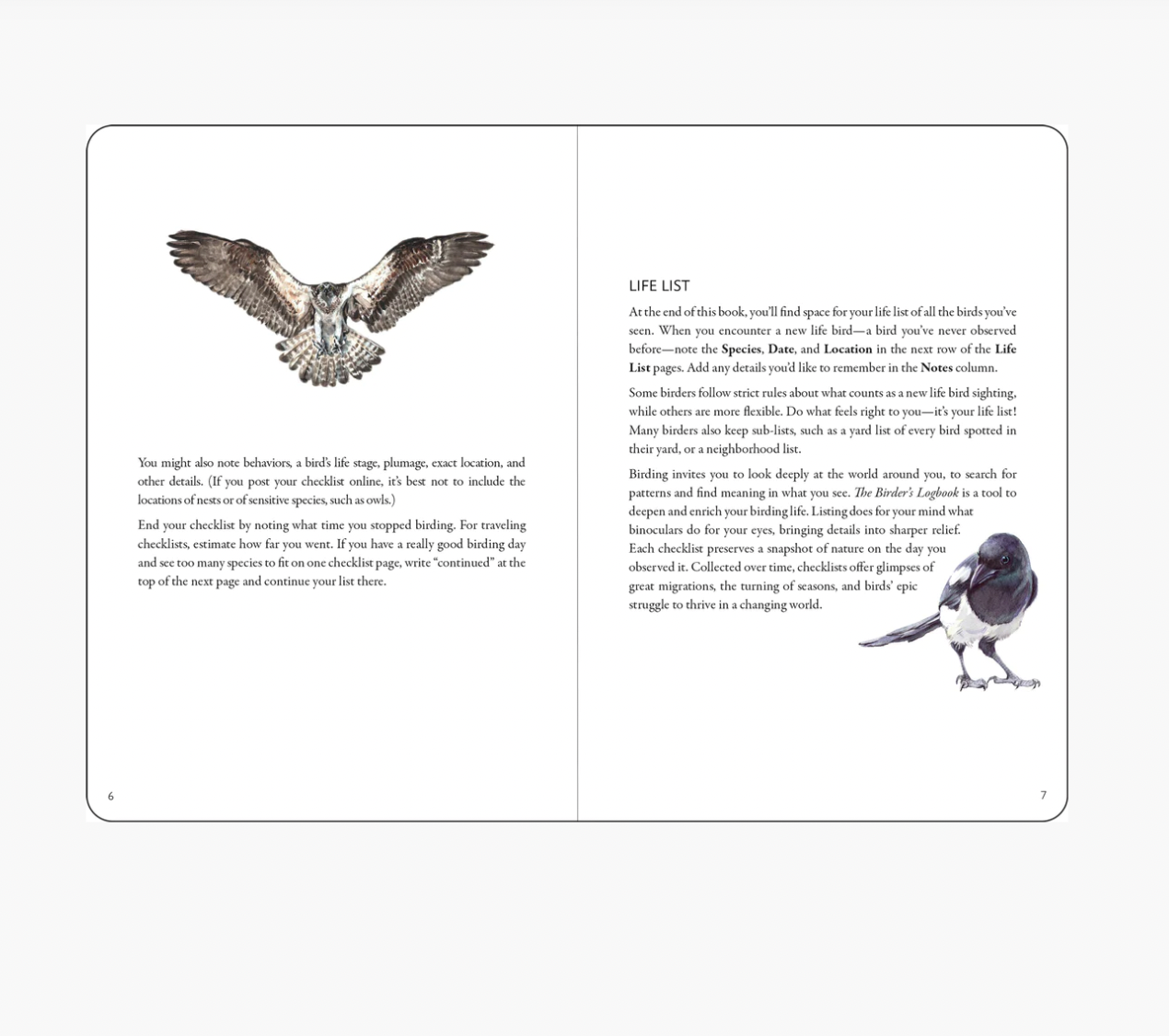 The Birder's Logbook
