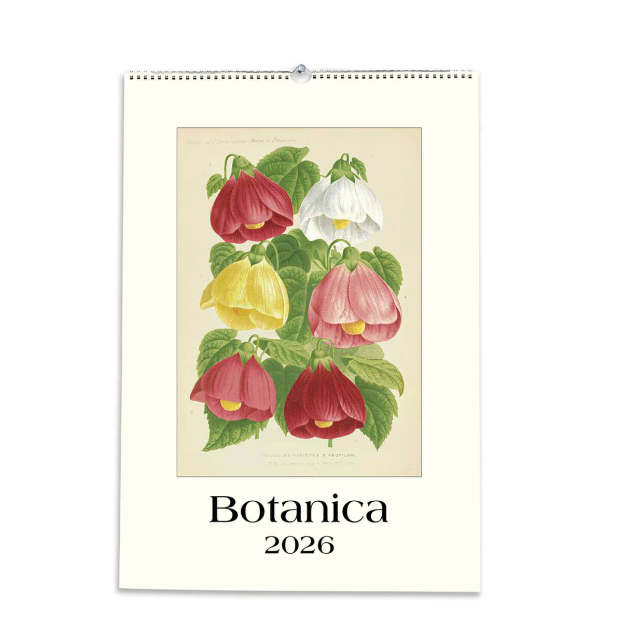Botanica 2026 calendar with floral design on a white background