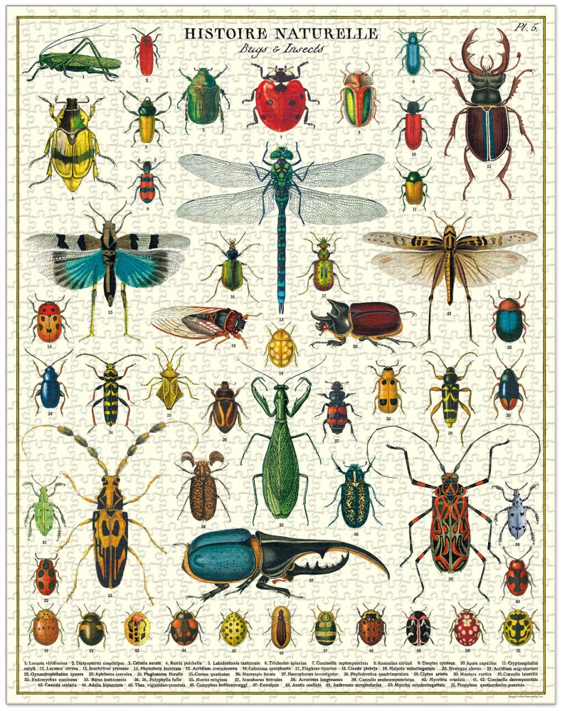 Vintage Puzzle - Bugs & Insects