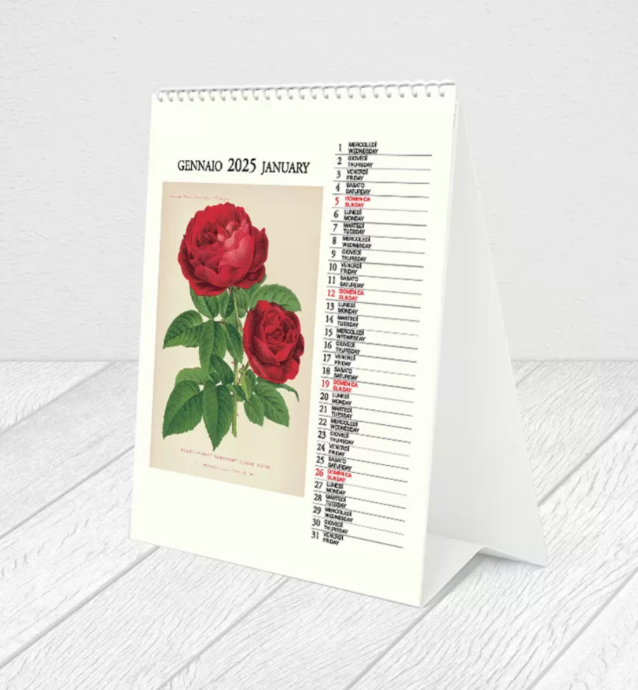 Drink 2026 Desk Calendar