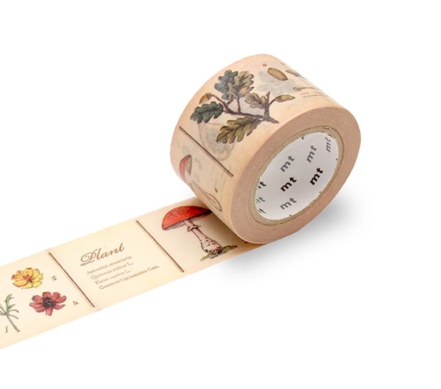 Roll of decorative tape with botanical designs on a white background