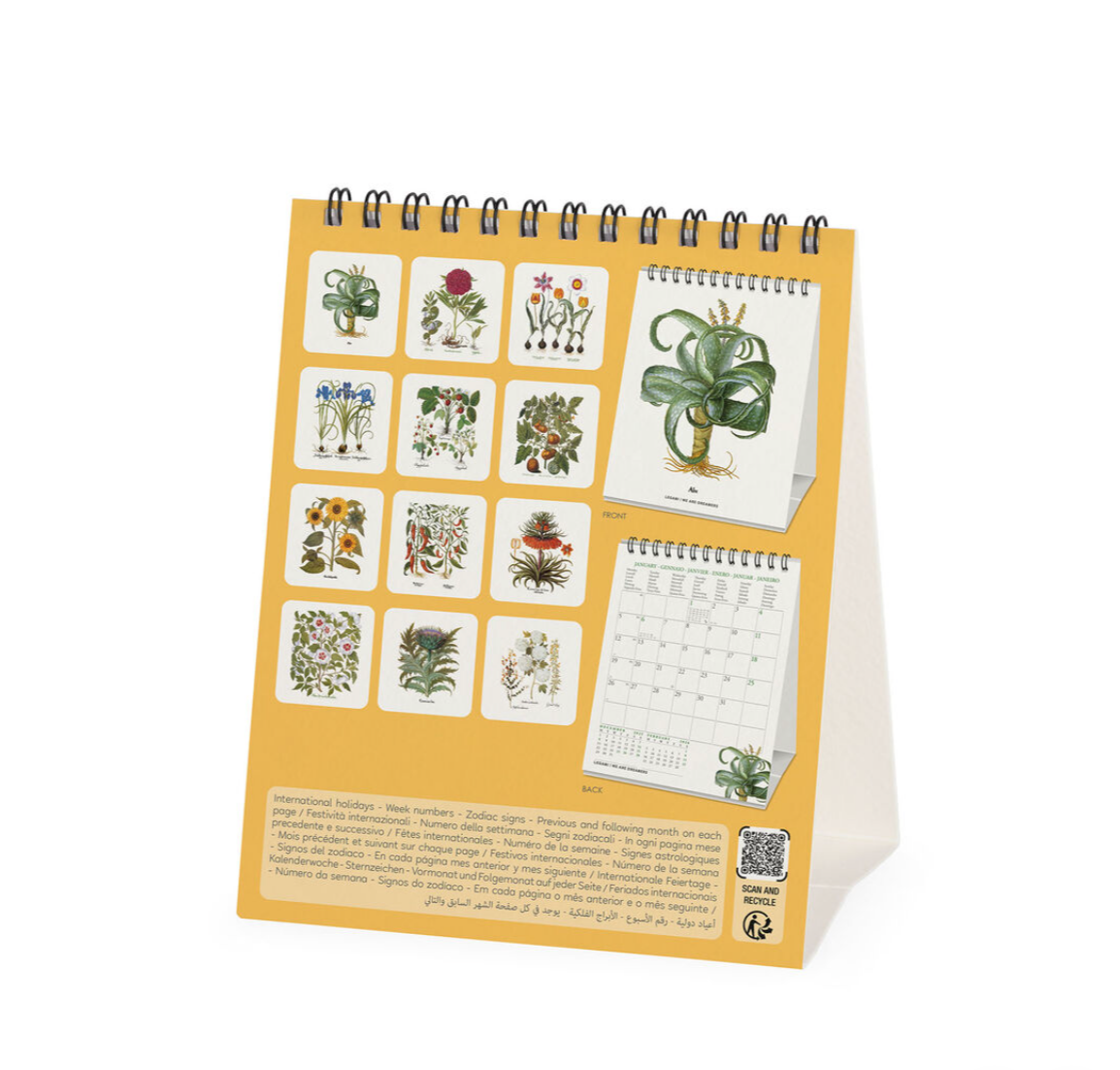 Desk calendar with botanical illustrations on a white background