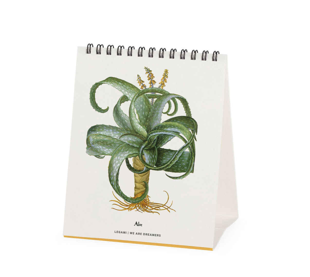 Calendar with a plant illustration on a white background