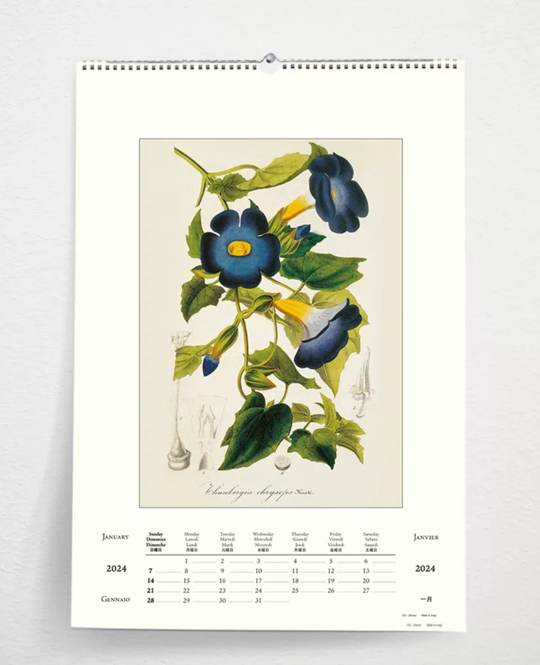 A desk calendar for the year 2026featuring a vintage botanical print with cars and bikes in a botanical garden.