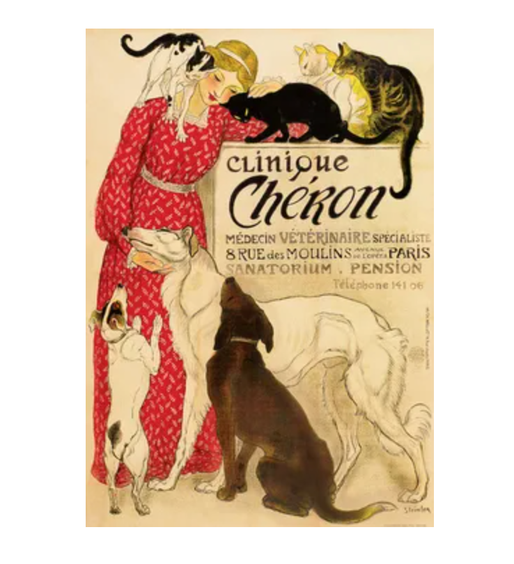 Vintage Italian Poster - Clinique Cheron