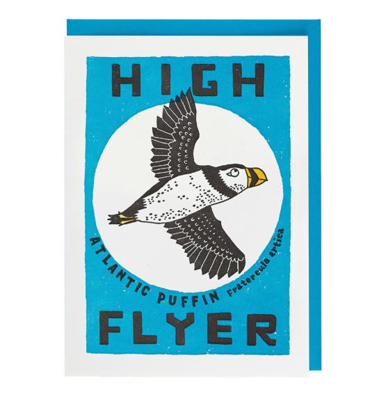 High Flyer Greeting Card