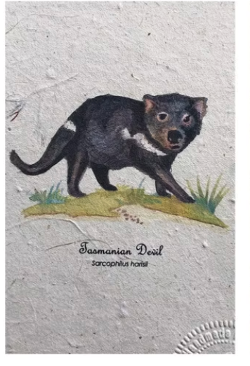 A textured paper card or print featuring a painted illustration of a Tasmanian Devil on a patch of grass, with the text 'Tasmanian Devil' and 'Sarcophilus harpai' below.