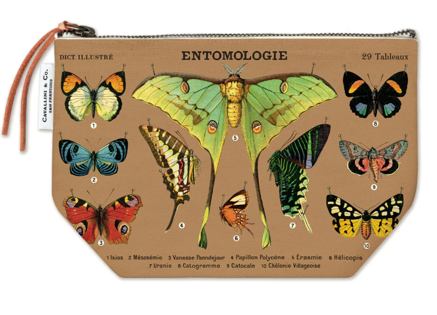 Vintage Style Pouch with illustrations of butterflies and moths on a beige background
