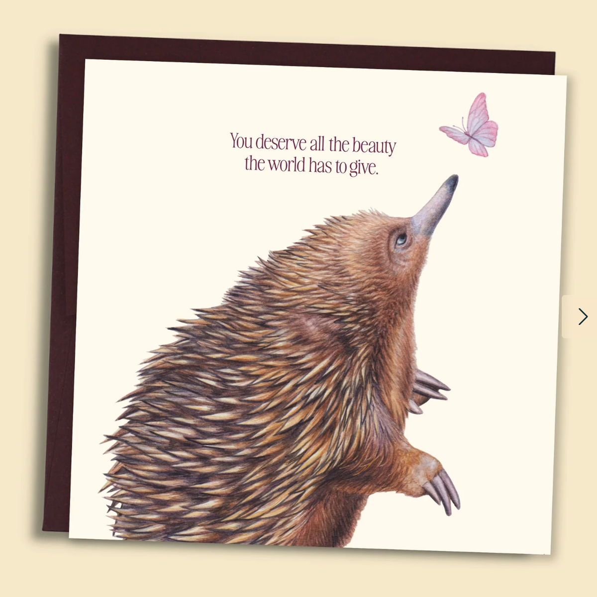 You Deserve All the Beauty Greeting Card