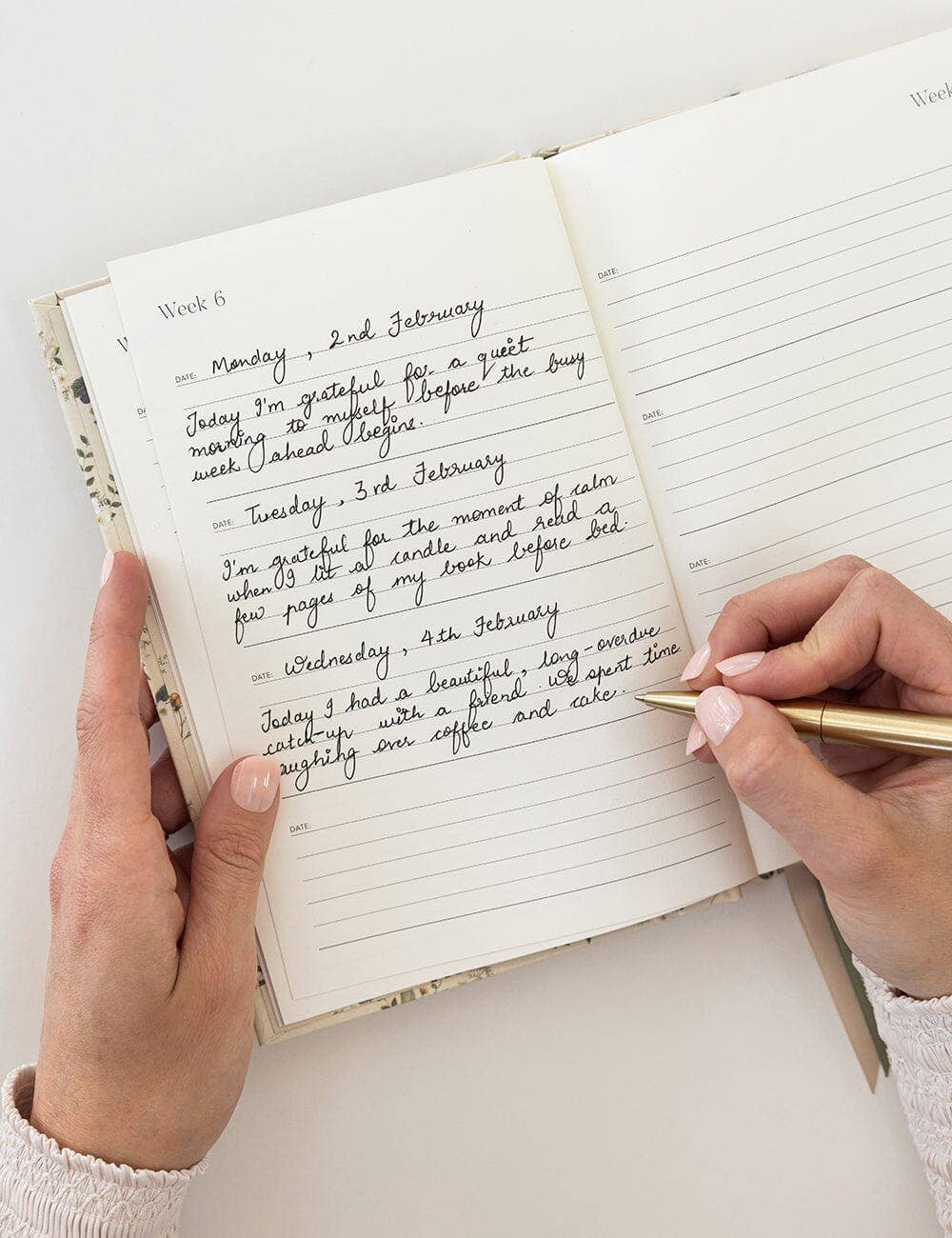 Gratitude Journal - Button Fern