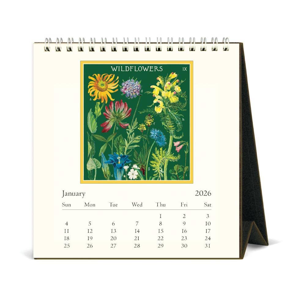 Cavallini 2026 Desk Calendar – Wildflowers