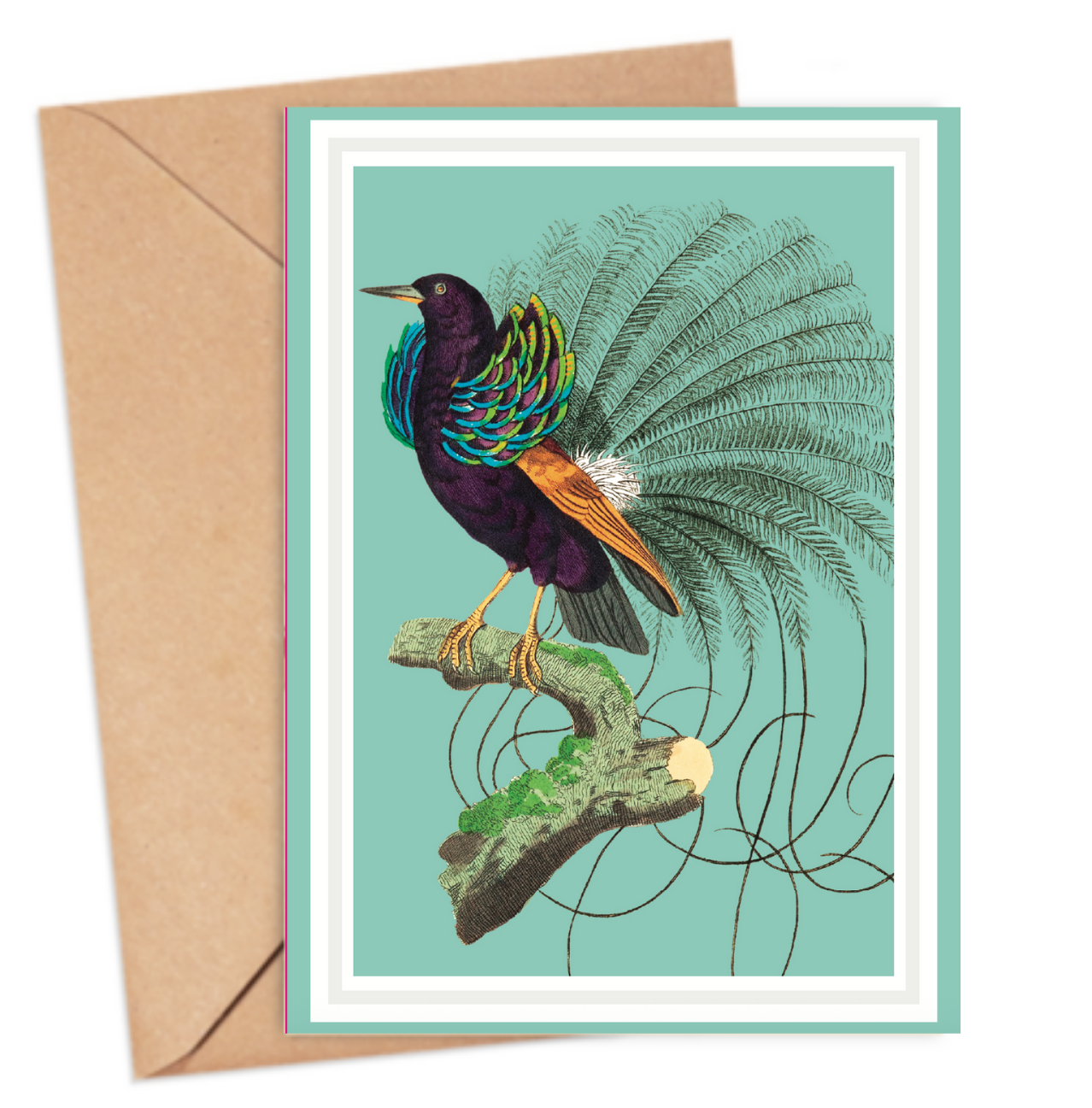 Bird of Paradise Card
