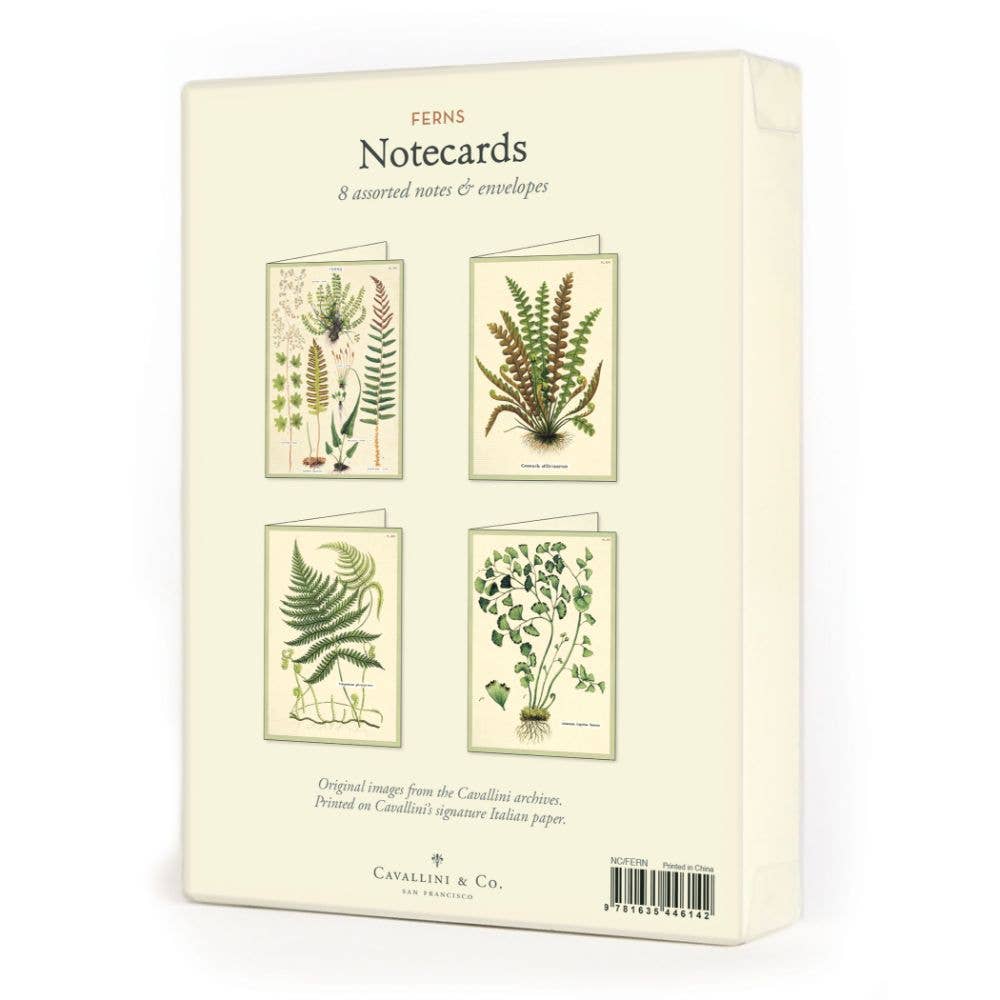 Cavallini Boxed Notecards Pack - 12 Assorted