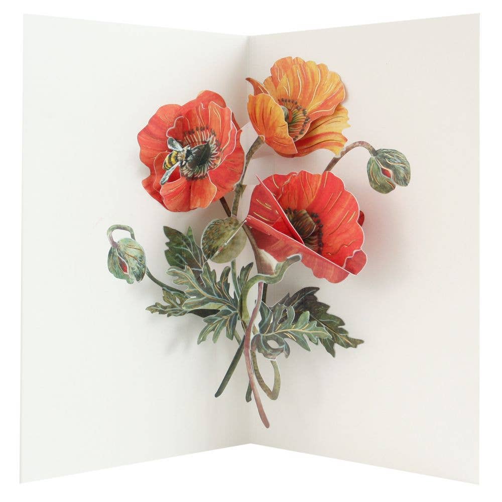 3D Pop-up Card-Poppies