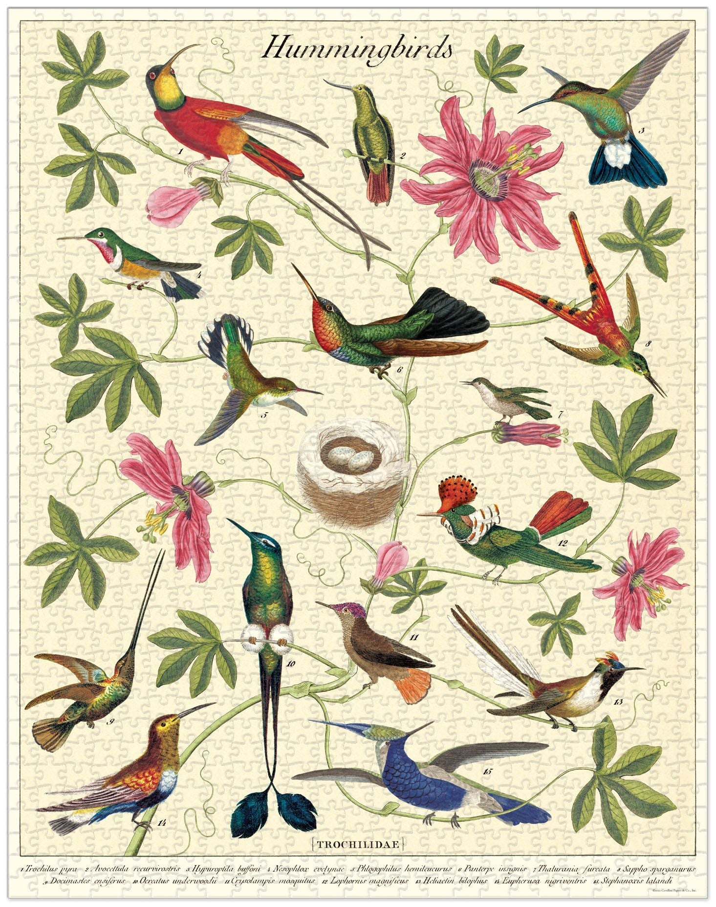 Vintage Puzzle - Hummingbird