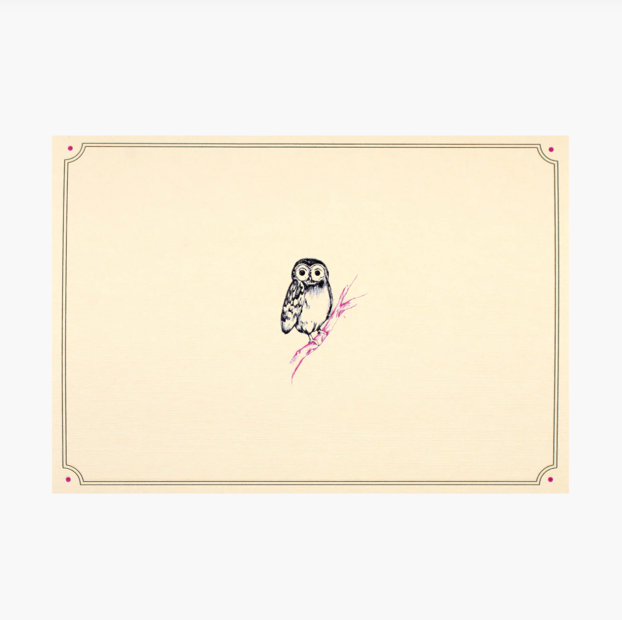 Owl Note Cards