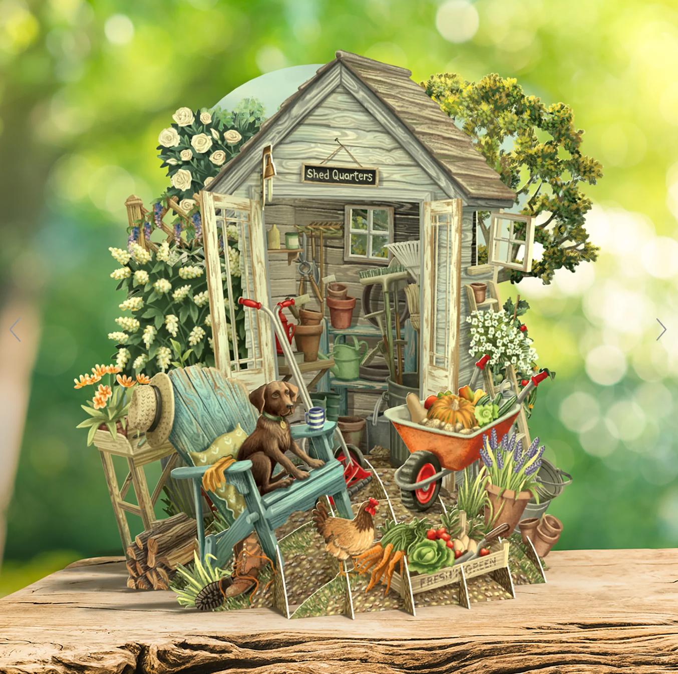 Pop Up Cards - Shed Quarters